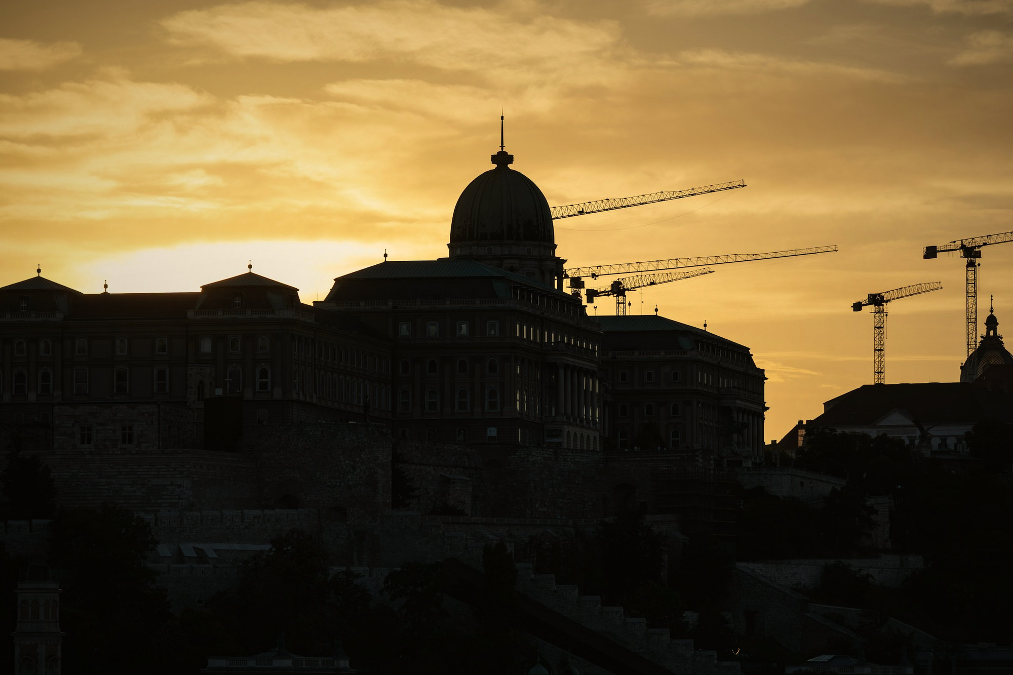 Construction cranes against a sunset
