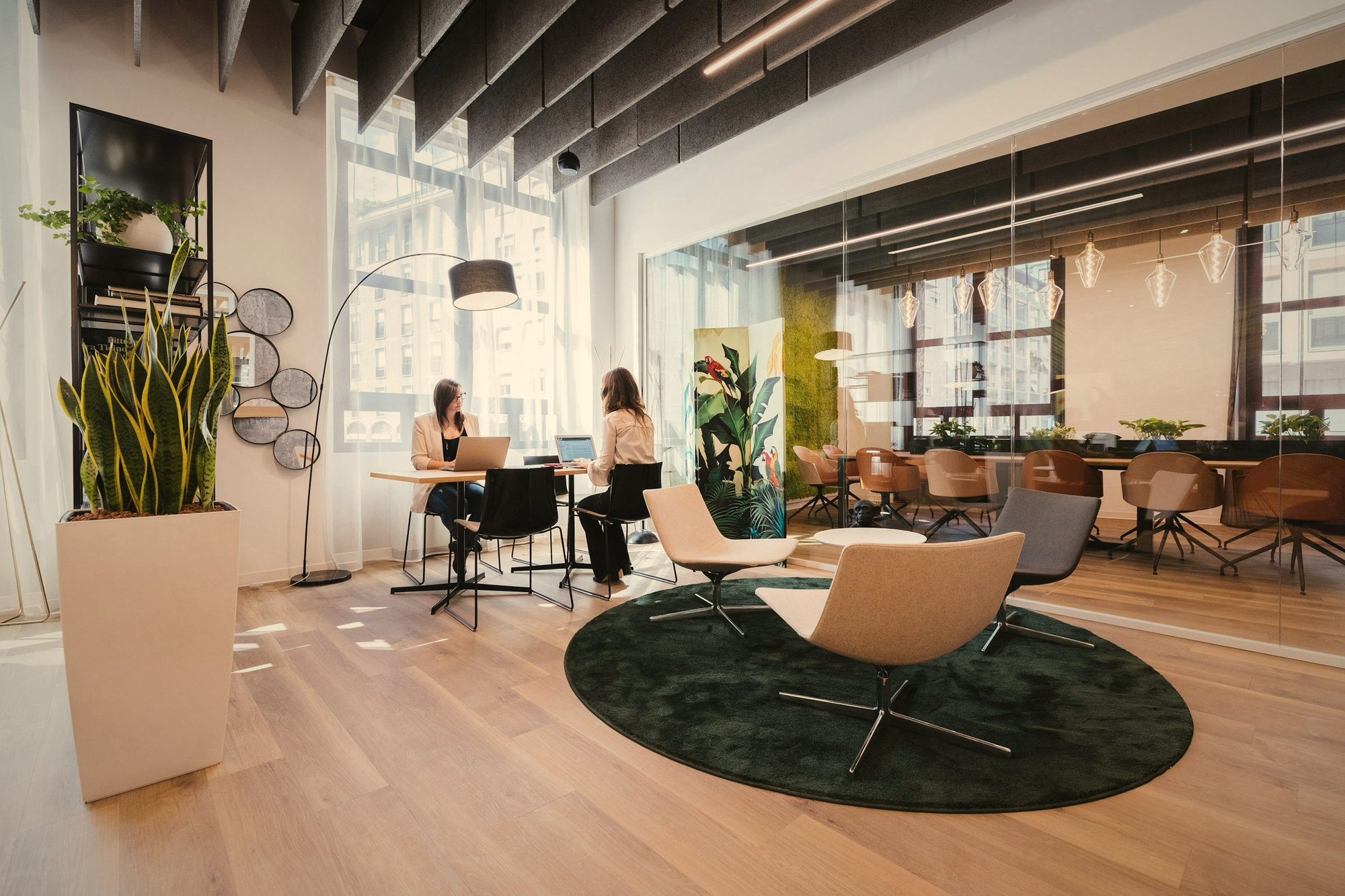 A sunlit office